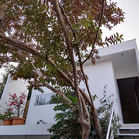 Вілла Casa Mango 3 Amplio Departamento Ріо-Верде Екстер'єр фото