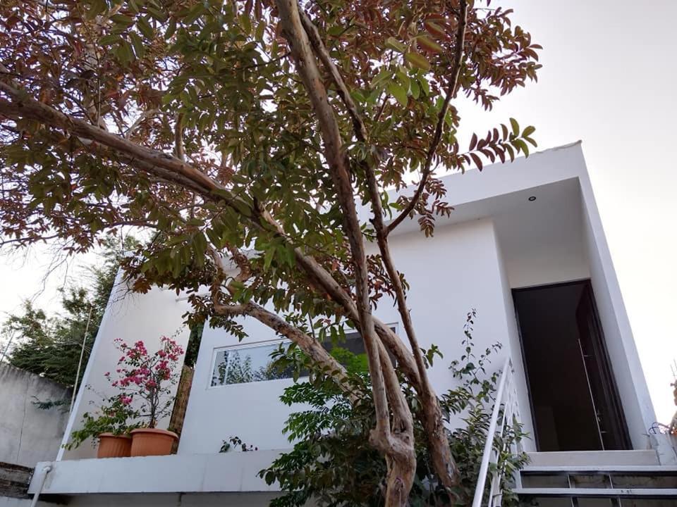 Вілла Casa Mango 3 Amplio Departamento Ріо-Верде Екстер'єр фото
